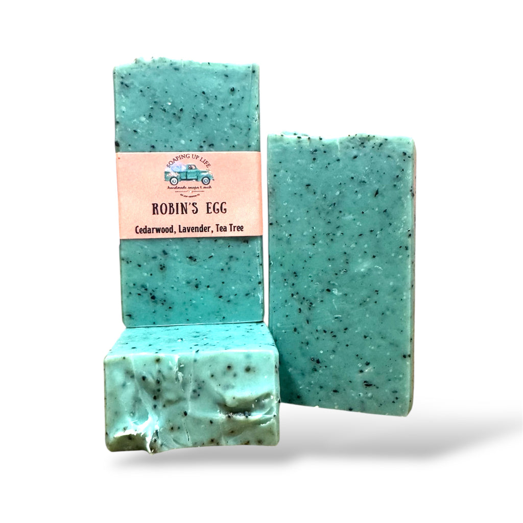 Robin’s Egg Soap