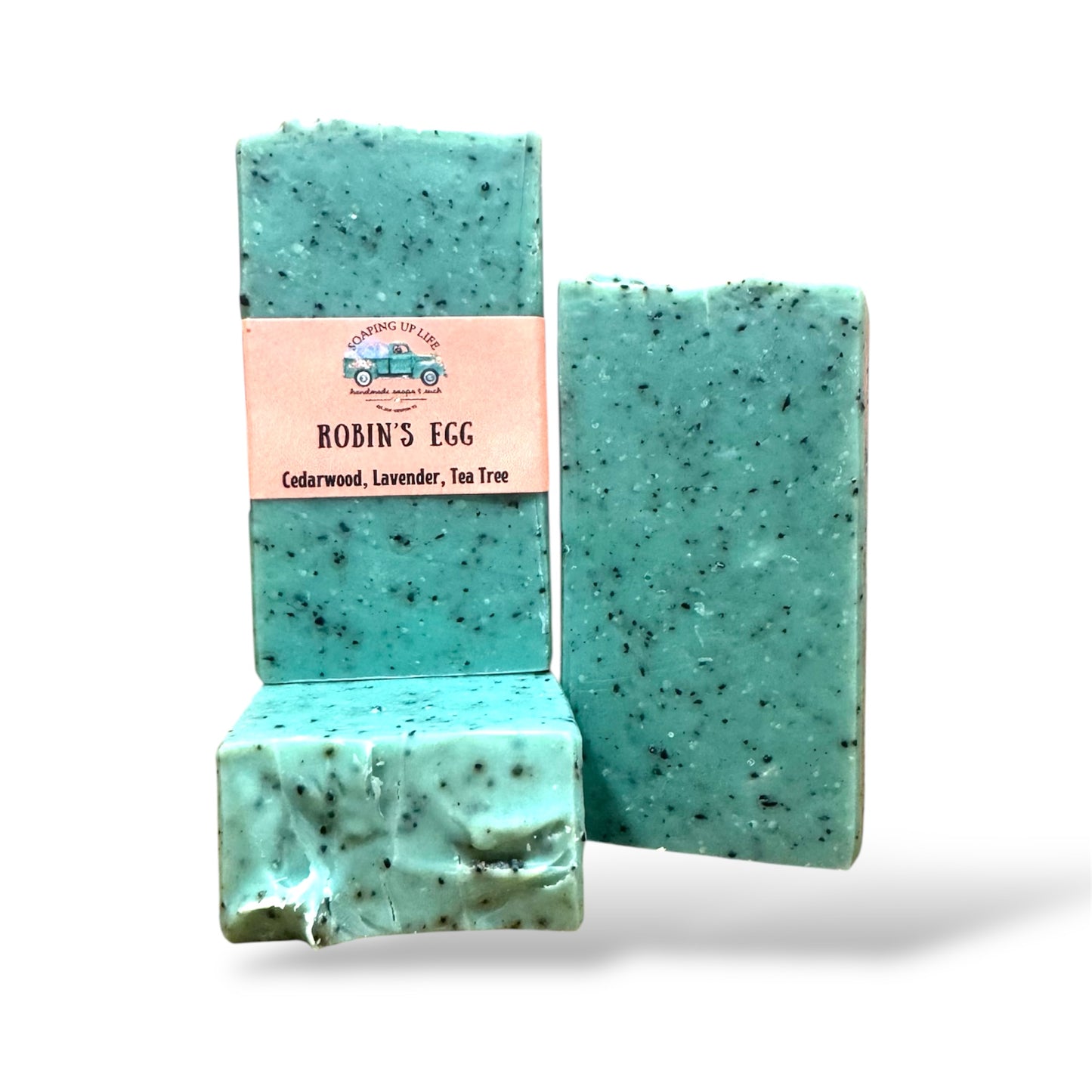 Robin’s Egg Soap