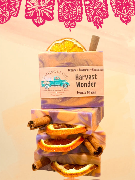 Harvest Wonder