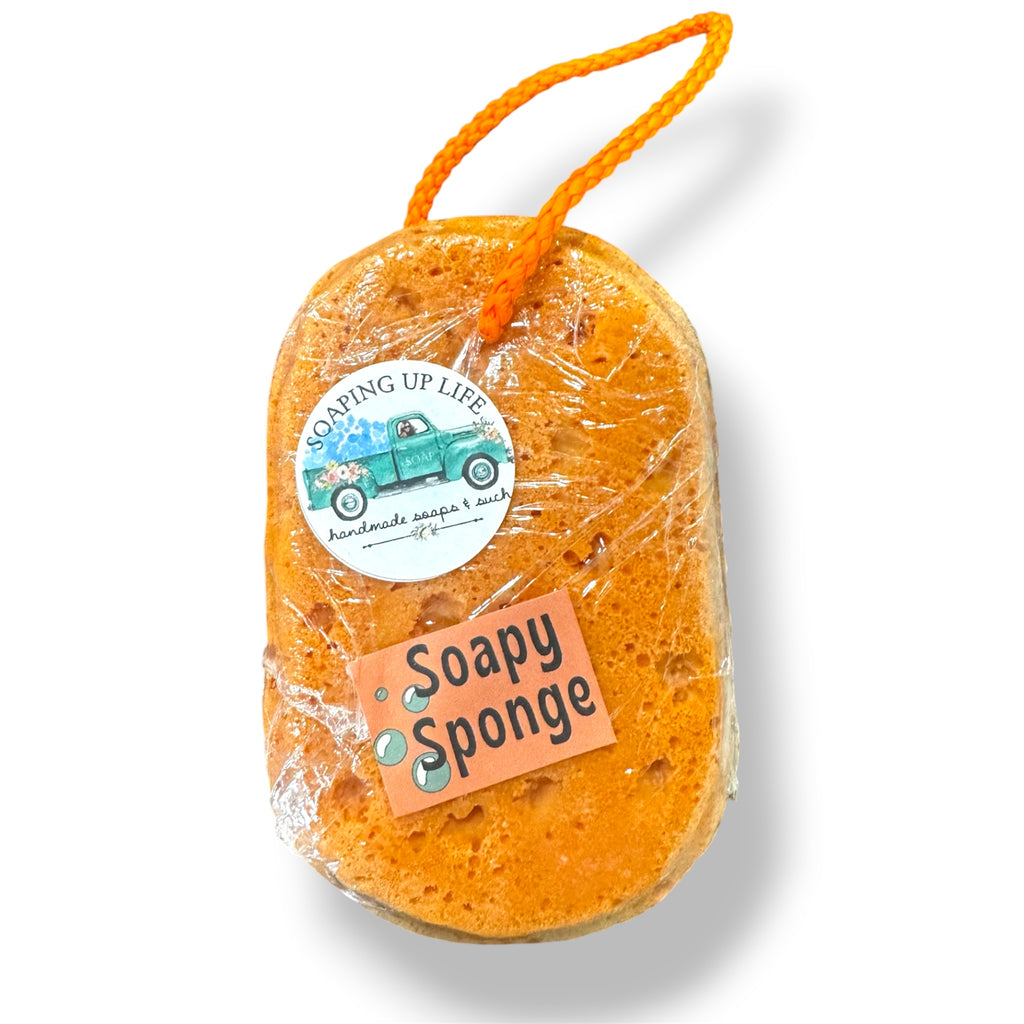 Soapy Sponge Orange