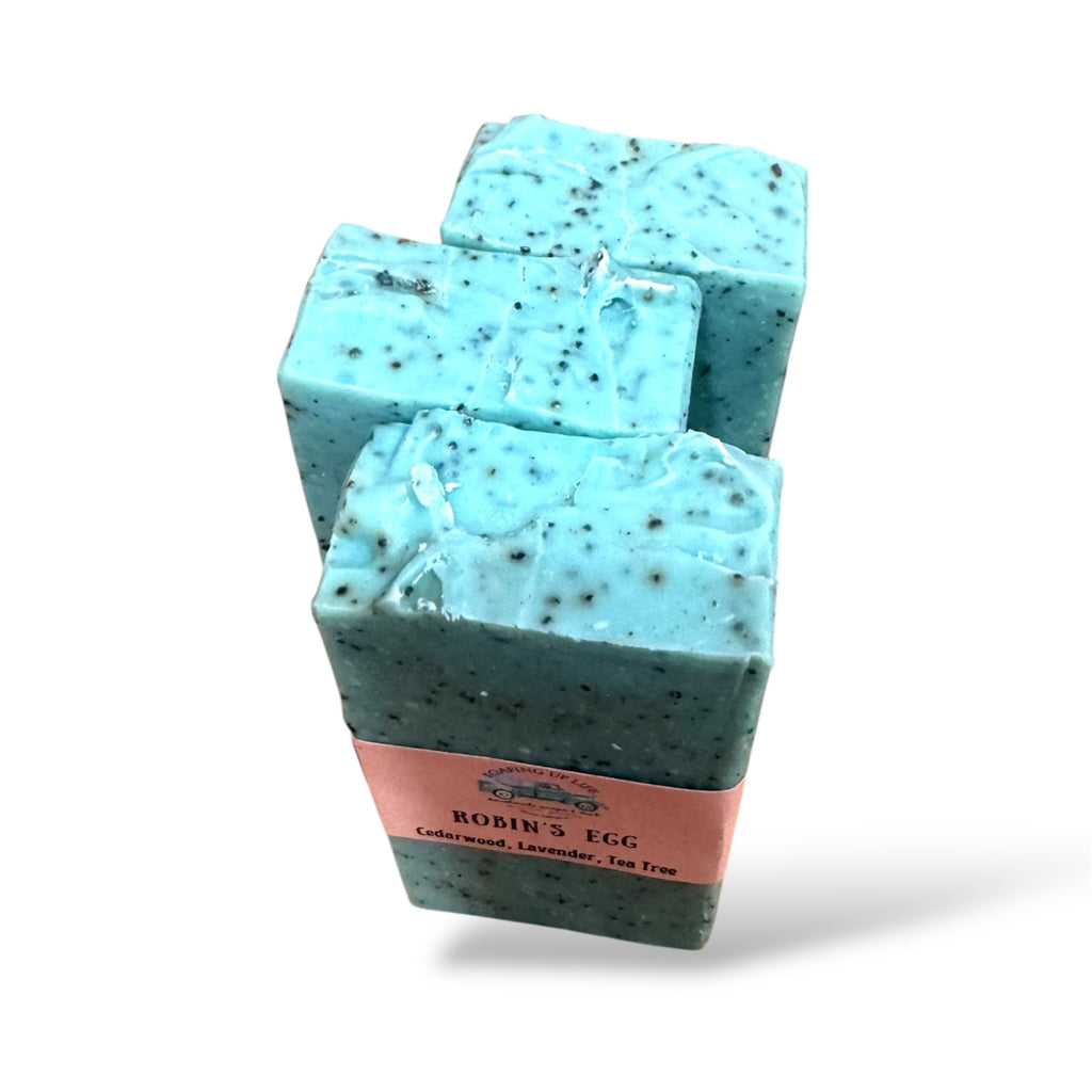 Robin’s Egg Soap